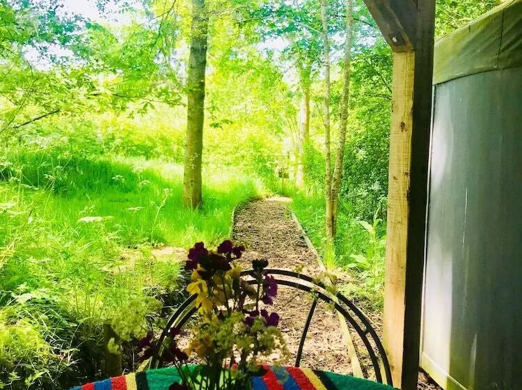 Cotswolds Camping At Holycombe