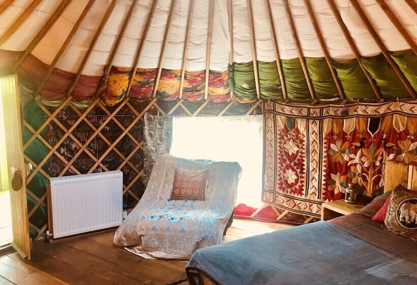 Cotswolds Camping At Holycombe