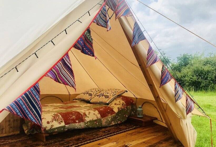 Cotswolds Camping At Holycombe