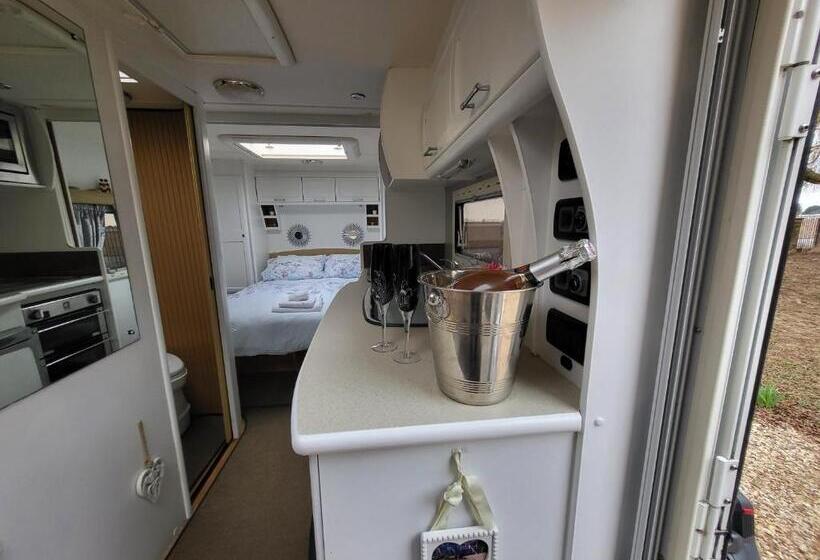 Hotel Glamping With Llamas