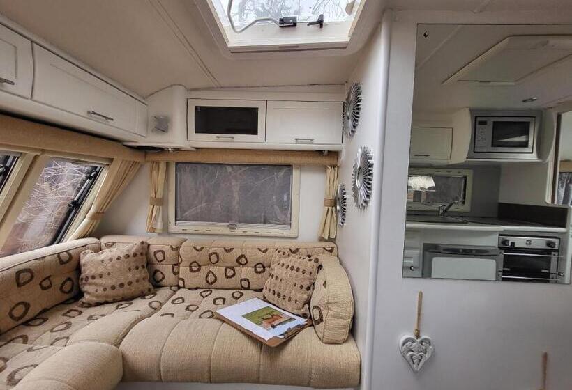 Hotel Glamping With Llamas