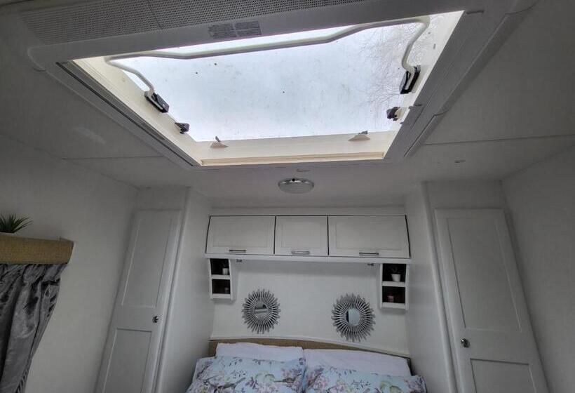 Hotel Glamping With Llamas