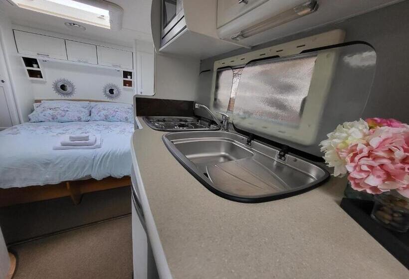 Hotel Glamping With Llamas