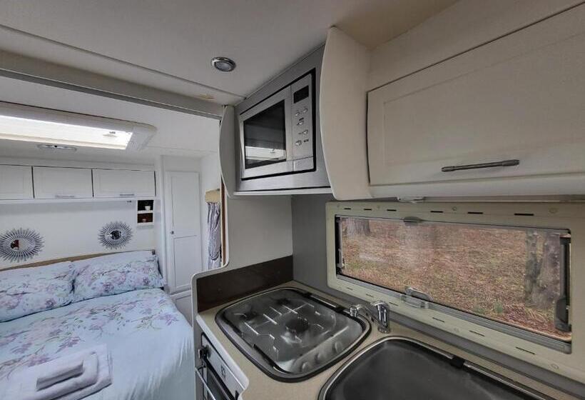 Hotel Glamping With Llamas