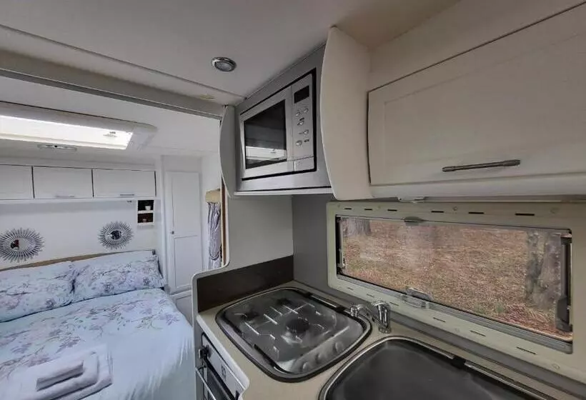 Hotelli Glamping With Llamas