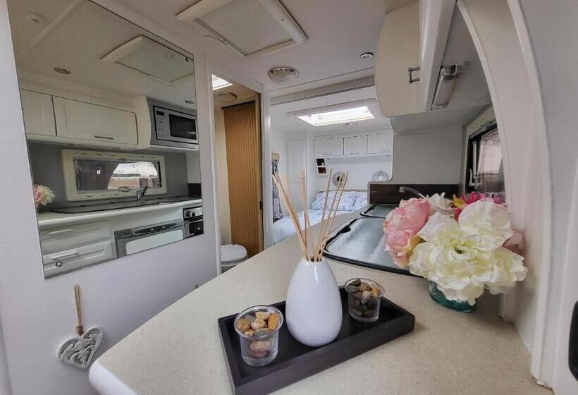 Hotel Glamping With Llamas