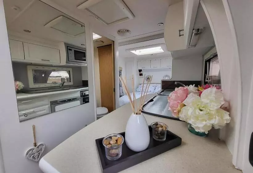 Hotelli Glamping With Llamas