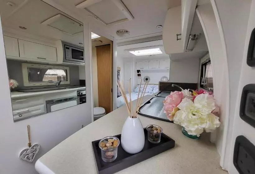 Hotelli Glamping With Llamas