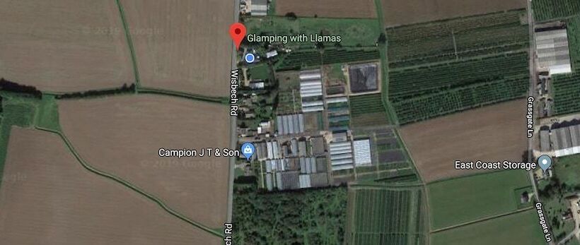 Hotel Glamping With Llamas