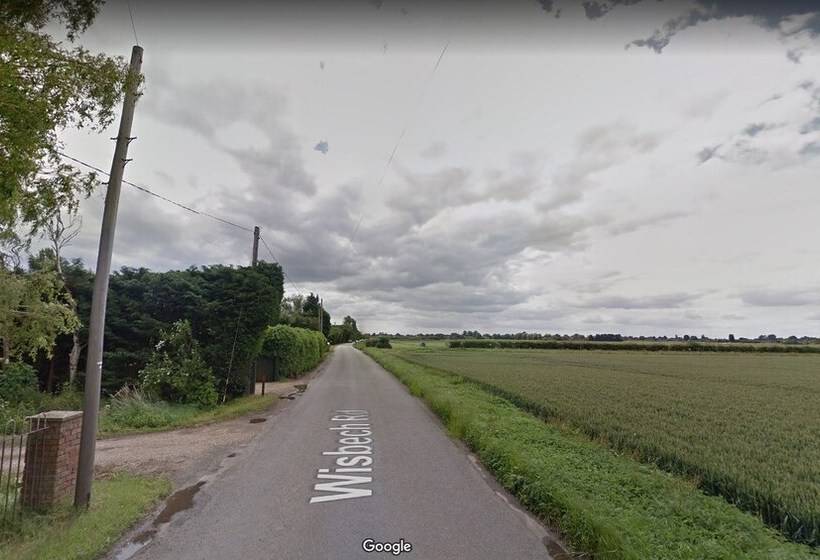 Hotel Glamping With Llamas