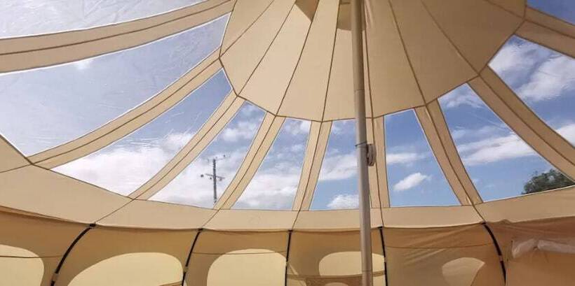 Hotel Glamping With Llamas