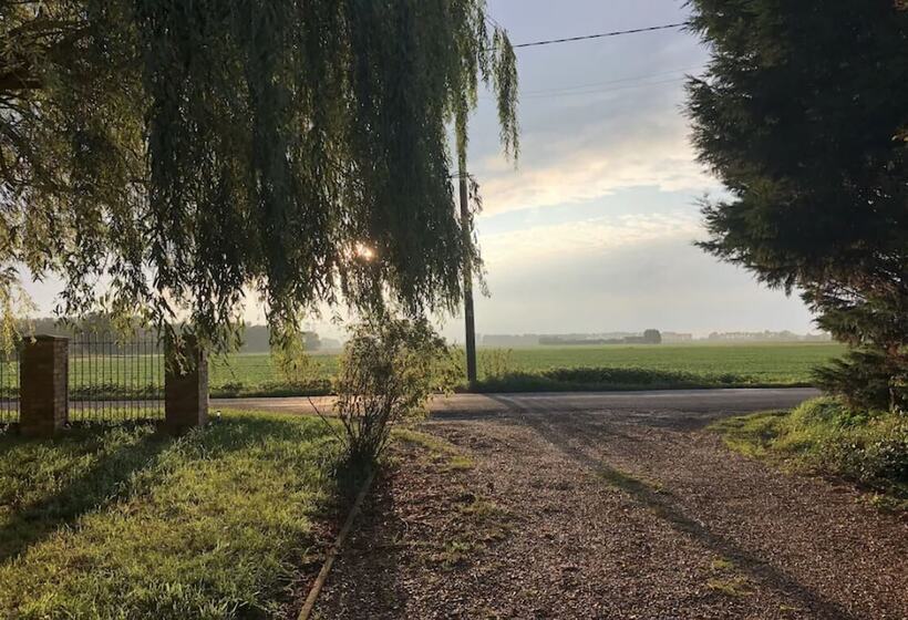 Hotel Glamping With Llamas