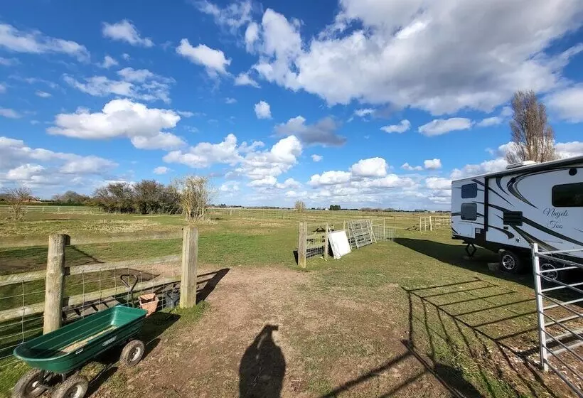 Hotelli Glamping With Llamas