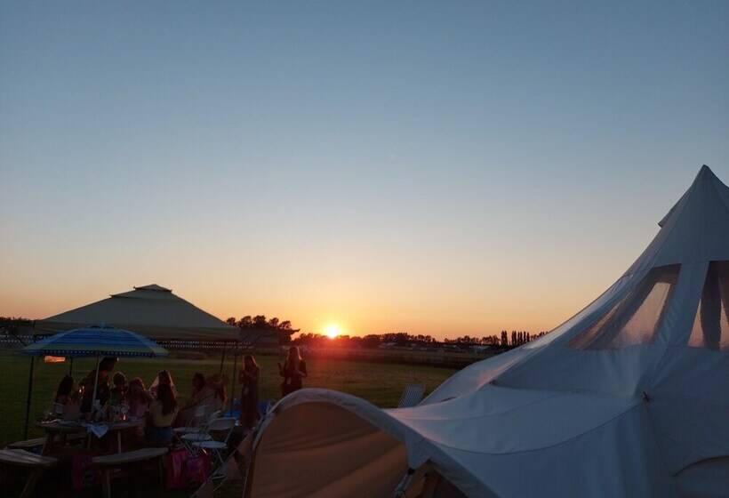 Hotel Glamping With Llamas