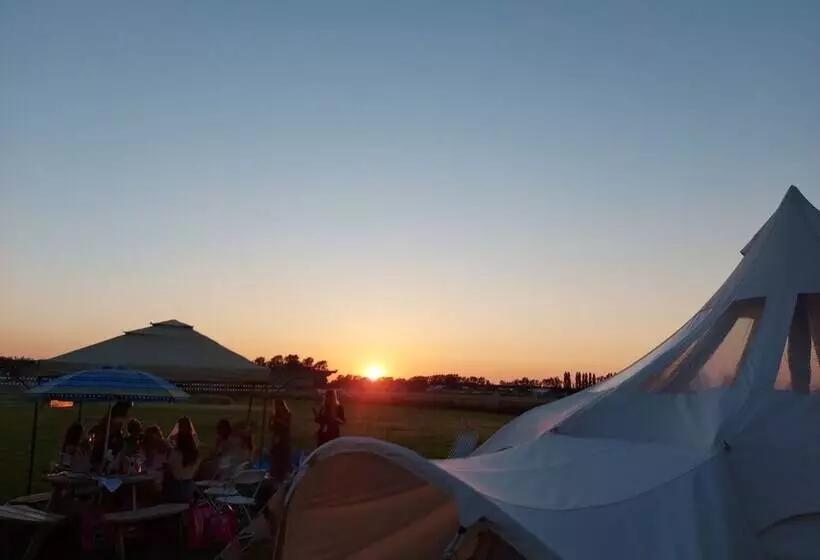 Hotelli Glamping With Llamas