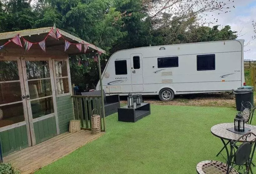 Hotelli Glamping With Llamas