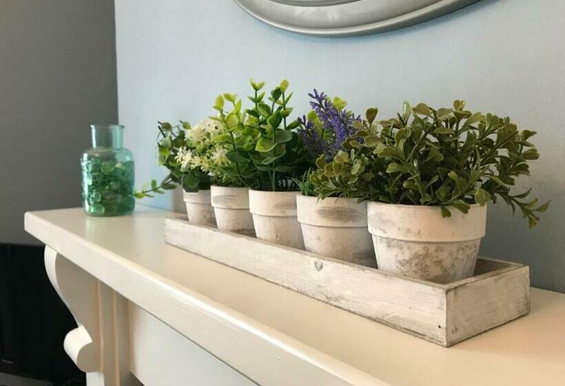 膳宿费 Inn Cardiff