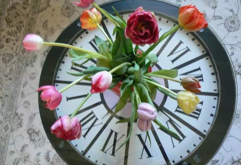 Appartement Relais Saint Pavin