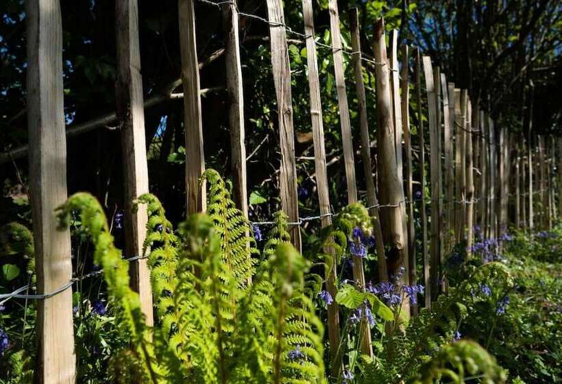 Sunnybrook   A Luxurious Carbon Neutral House Close To Beach, Shaldon