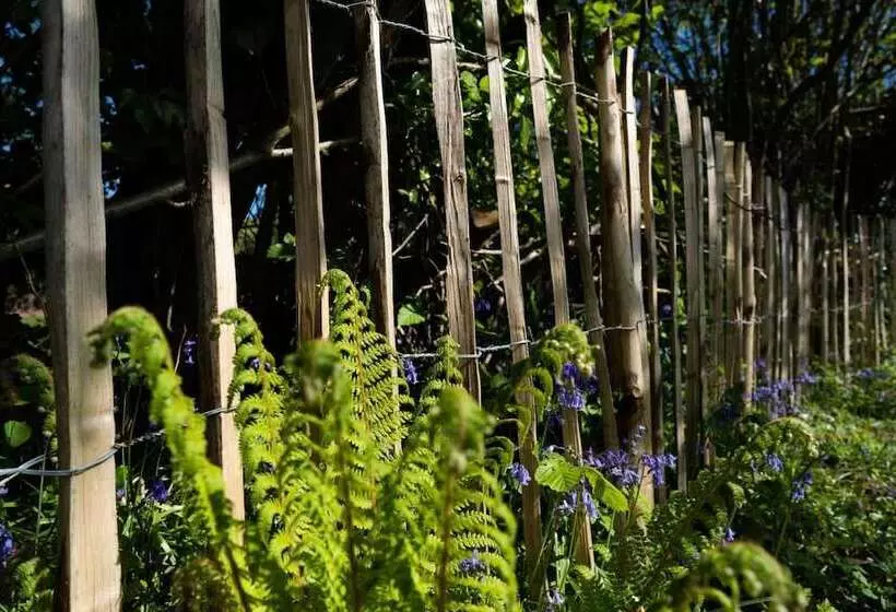 Sunnybrook   A Luxurious Carbon Neutral House Close To Beach, Shaldon