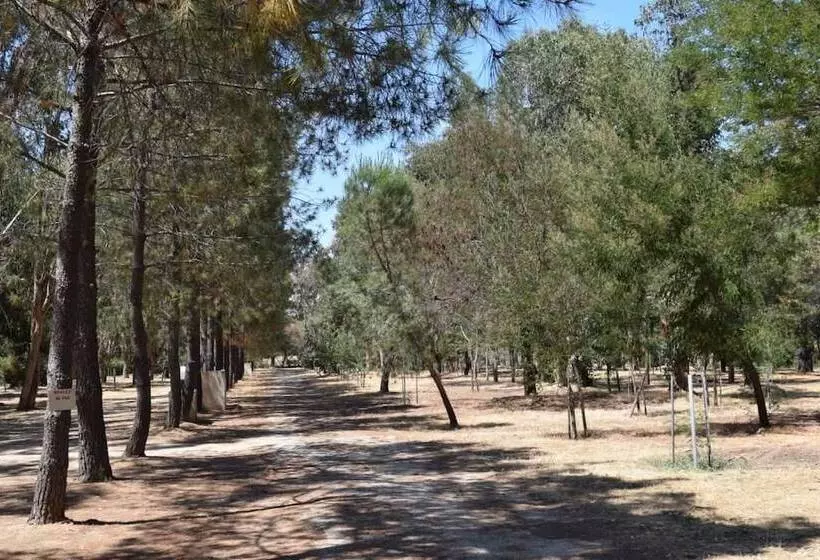 Hotelli Camping Paradella