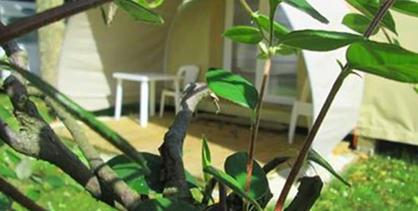 בית מלון כפרי Camping Val De Boutonne