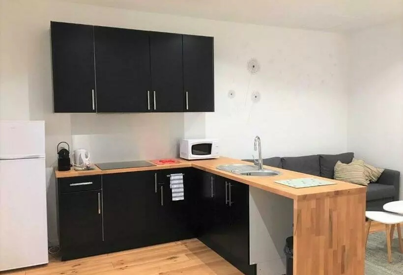 Le T2 Moderne Des Palmiers Au Coeur De Moissac