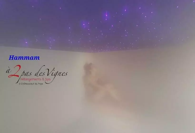 A 2 Pas Des Vignes, Hébergements Et Spa, Maison Numéro 11 à Châteauneuf Du Pape