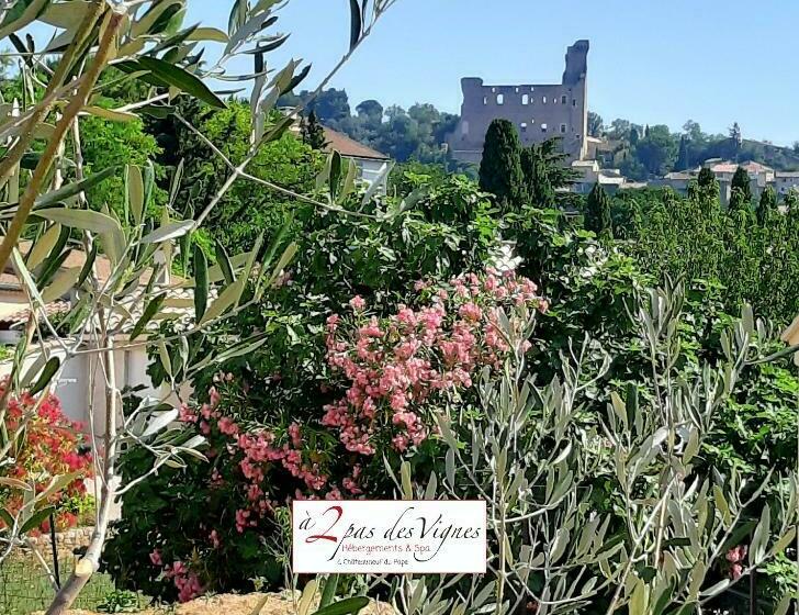 A 2 Pas Des Vignes, Hébergements Et Spa, Maison Numéro 11 à Châteauneuf Du Pape