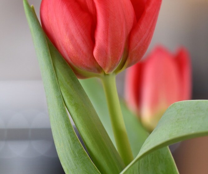Bright, Tranquil Cottage