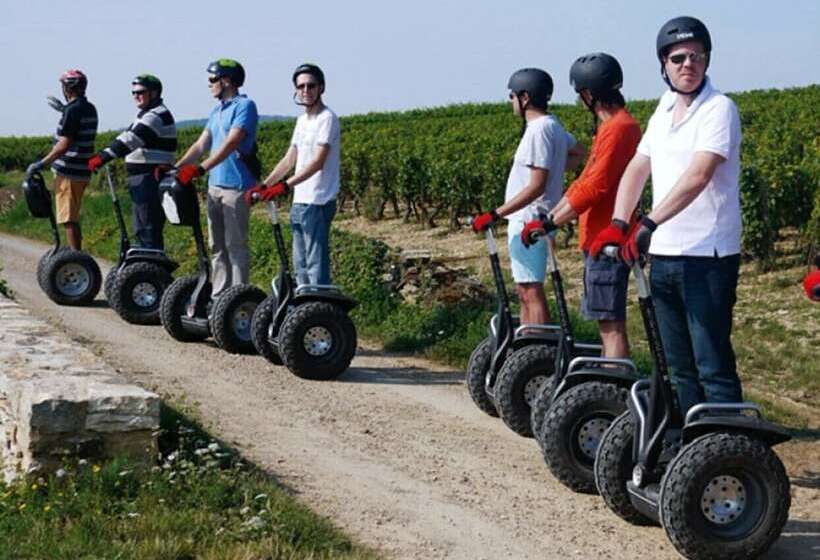 Les Sarments    Beaune