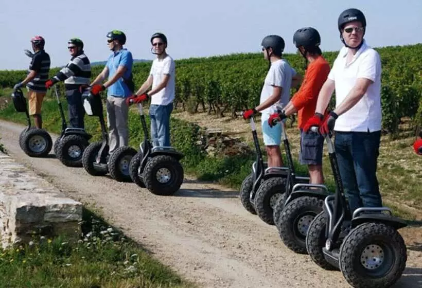 Les Sarments    Beaune