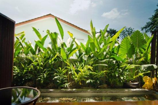 בית מלון כפרי Mydream Homestay