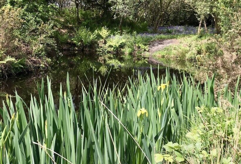 ホテル Trecombe Lakes