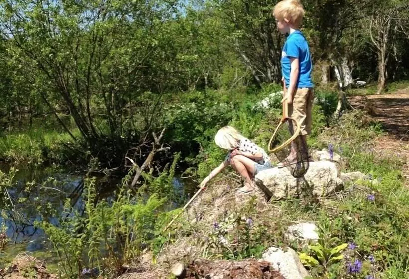 ホテル Trecombe Lakes