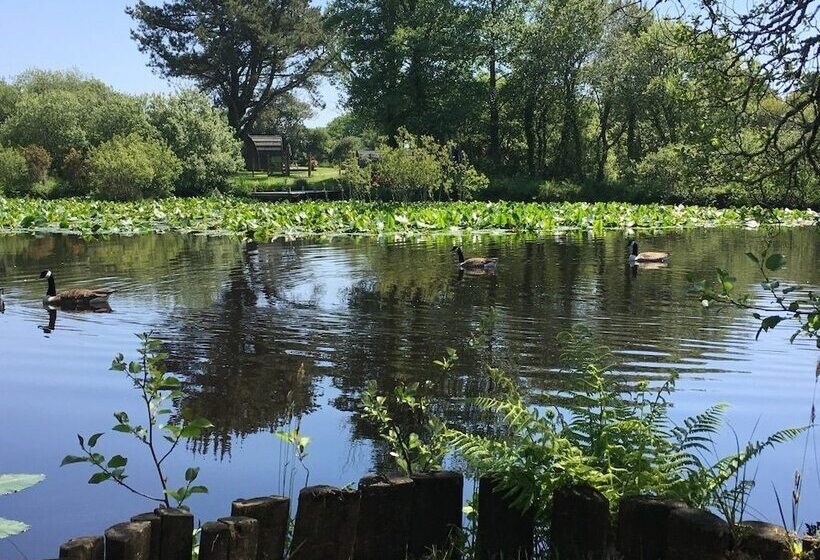 ホテル Trecombe Lakes