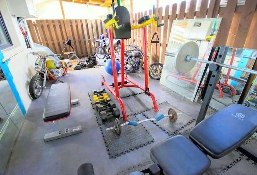 Magic House By Traveline Plus