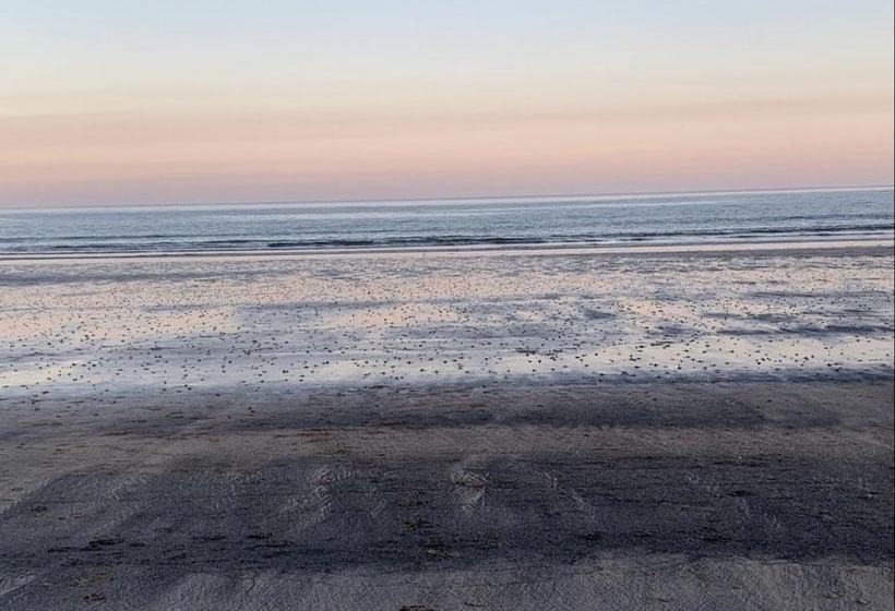 Newly Renovated & Spacious House