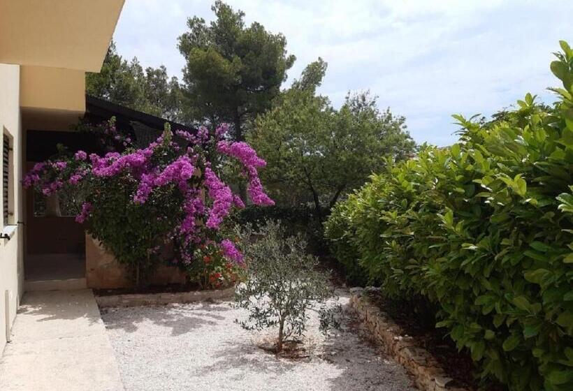 Apartment Deni 70m From Beach