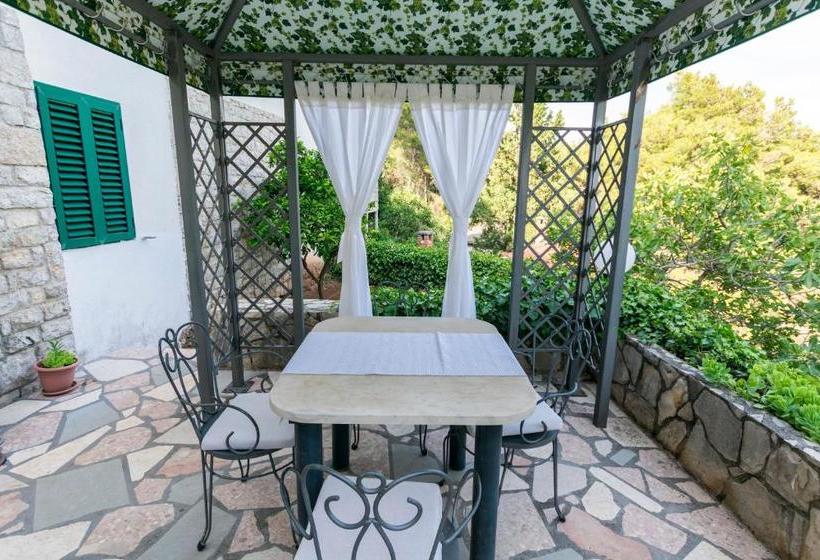 Apartment Primosten Studio