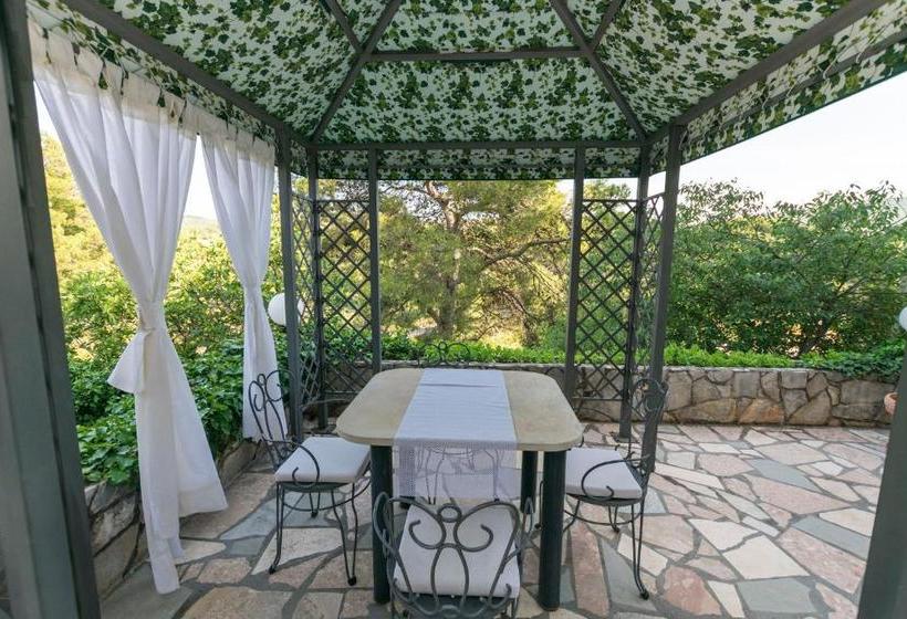 Apartment Primosten Studio