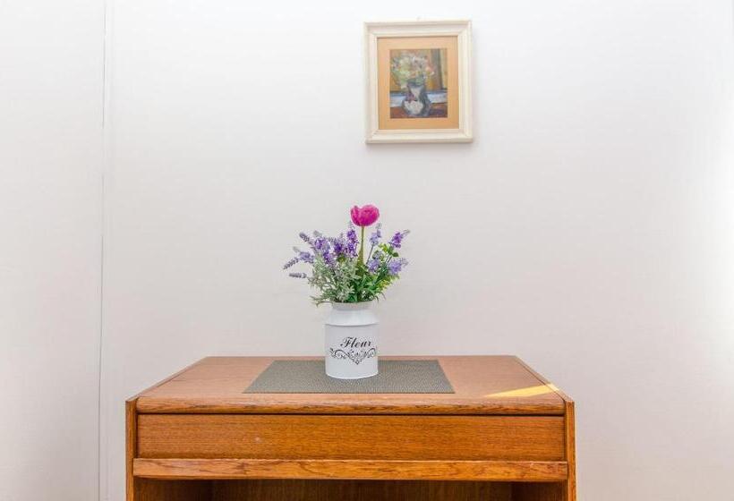 Apartments And Room Sun & Sea