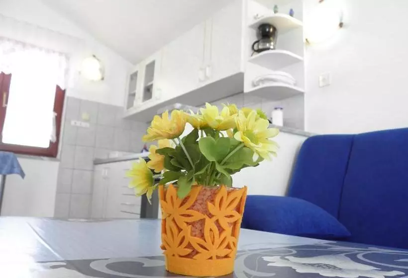 Apartments Zdrijac Nin 100 M To Beach Millenka  Ae1008