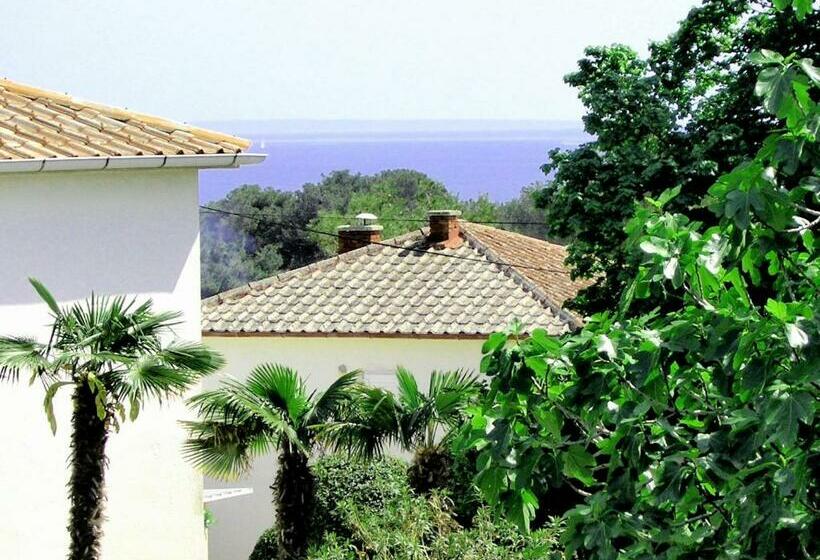 Studio Apartment Tamara