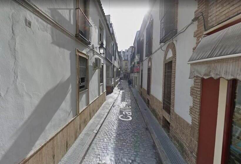 Ds San Miguel Centro De Córdoba