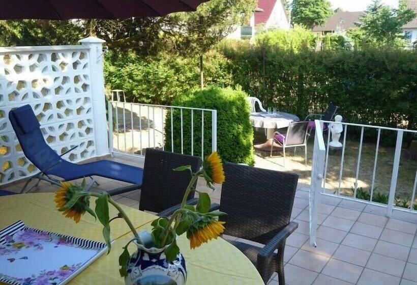 Ferienhaus Dünengras   Strand 300m   Freistehend