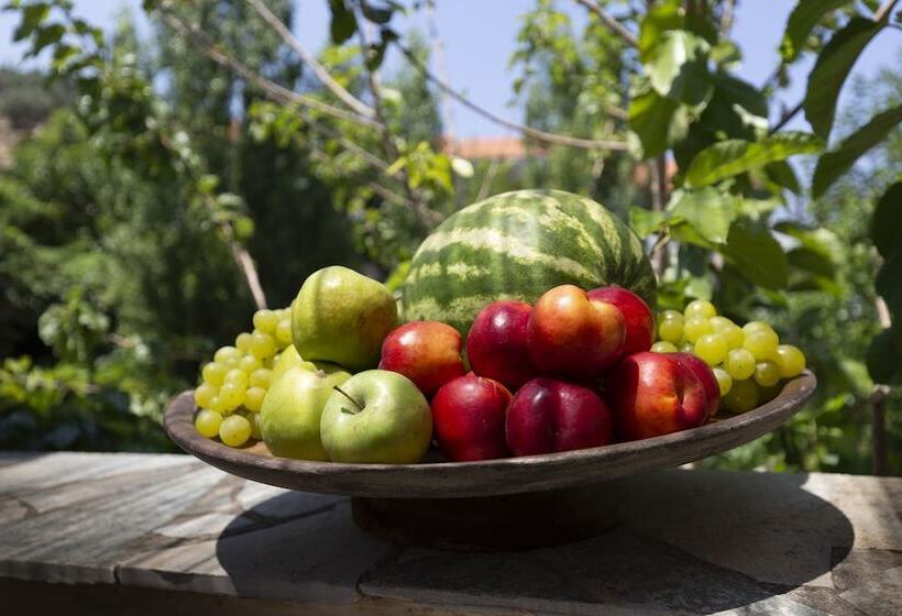 Villa Of The Old Olive Oil Factory