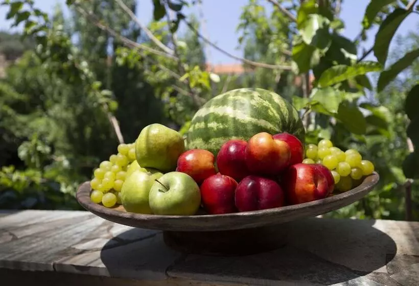 Villa Of The Old Olive Oil Factory