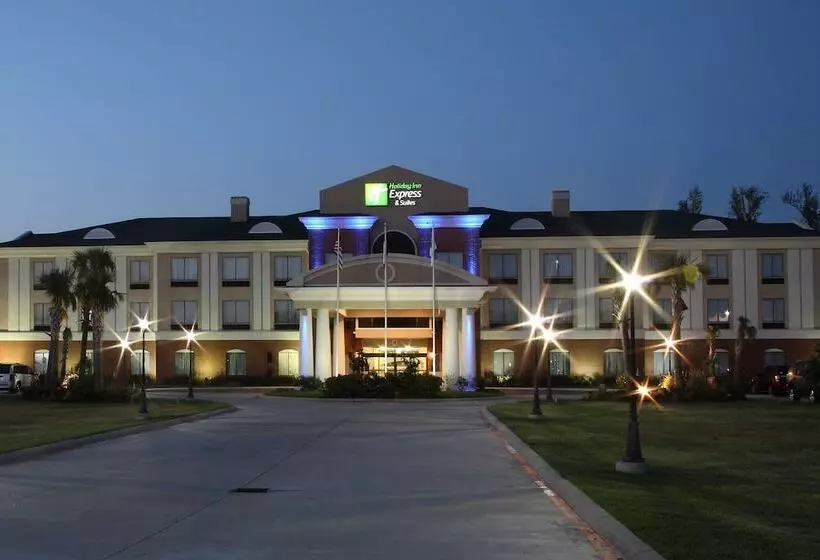 Holiday Inn Express Hotel & Suites Orange By Ihg