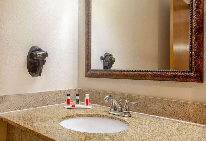 בית מלון כפרי Baymont By Wyndham Branson On The Strip